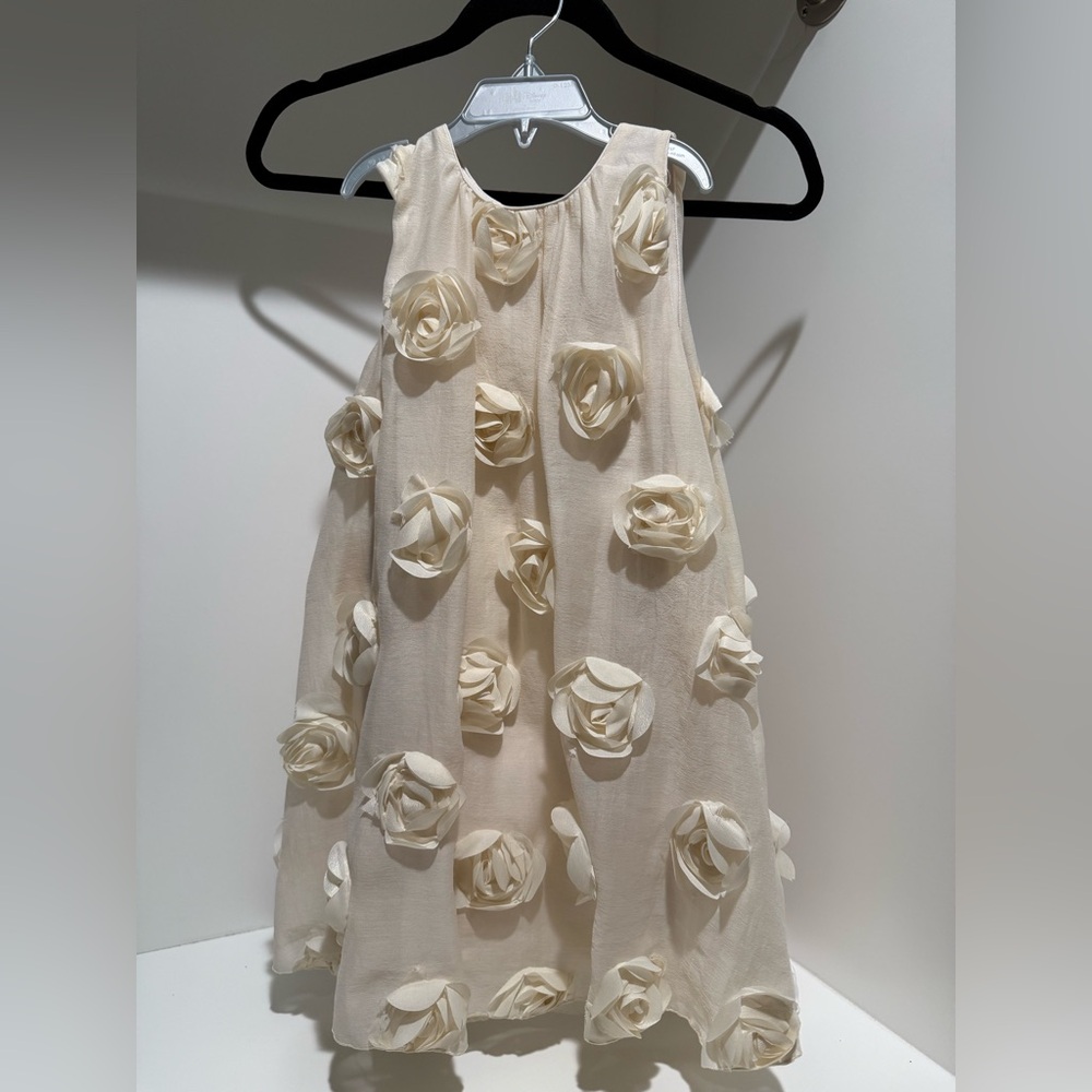Zara Kids Cream Floral Appliqué Dress